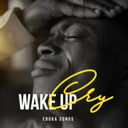 Ebuka Songs - Wake Up Cry (2023)