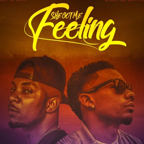 Eclipse Darkness - She Got Me Feeling (feat. Stanley Enow)
