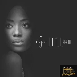 Efya - T.I.N.T. (2014)