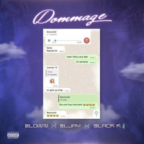 Eljay - Dommage (feat. Black k)