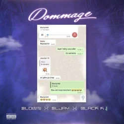 Eljay - Dommage (feat. Black k)