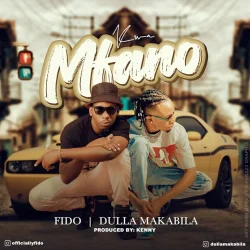 FIdo Mgaigai - Kwa Mfano (feat. Dulla Makabila)
