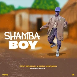 FIdo Mgaigai - Shamba Boy (feat. Miso Misondo)