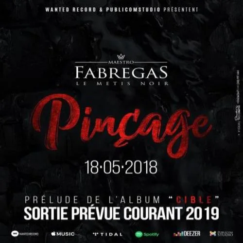 Fabregas Le Métis Noir - Pinçage