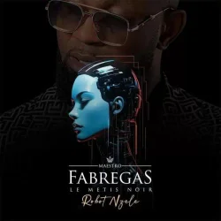 Fabregas Le Métis Noir - Robot Nzele