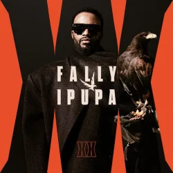 Fally Ipupa - Complices