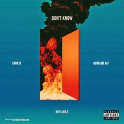 Fameye - Don't Know (feat. Quamina MP & Kofi Mole)