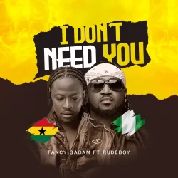 Fancy Gadam - I Don't Need You (feat. Rudeboy)