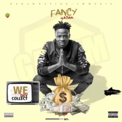 Fancy Gadam - We Dey Collect