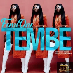 Femi One - Tembe