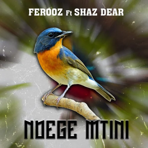 Ferooz - Ndege Mtini (feat. Shaz Dear)