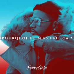 Ferre Gola - Pourquoi Tu M'as Fait ça ?