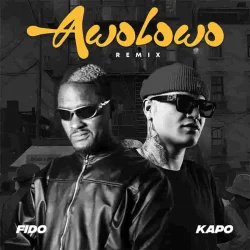 Fido - Awolowo (Remix) (feat. Kapo)