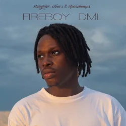 Fireboy - Like I Do (Instrumental)