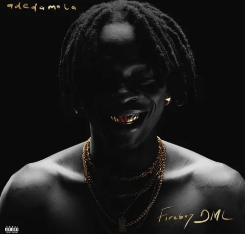 Fireboy Dml - Change Your Life