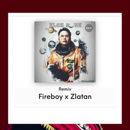Fireboy Dml - Elon Musk - Remix (feat. Zlatan)