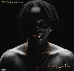 Fireboy Dml - Jon’s Interlude