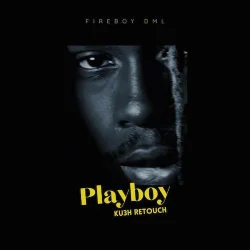 Fireboy Dml - Playboy