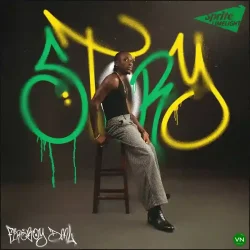 Fireboy Dml - Story (feat. Take A Daytrip)