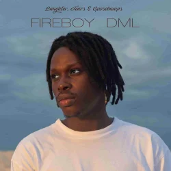 Fireboy Dml - Vibration
