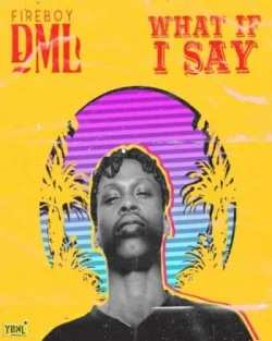 Fireboy Dml - What If I Say
