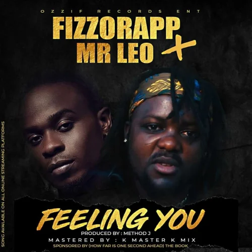 Fizzorapp - Feeling You (feat. Mr. Leo)