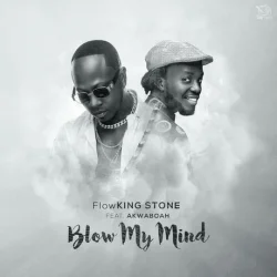 FlowKing Stone - Blow My Mind (feat. Akwaboah)
