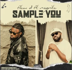 Flow D - Sample You