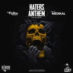 Flyboy Geesus - Haters Anthem (feat. Medikal & Haters Anthem)
