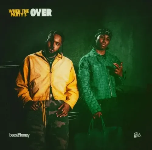 Fola - When The Party’s Over (feat. Bees & Honey)
