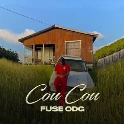 Fuse ODG - Cou Cou