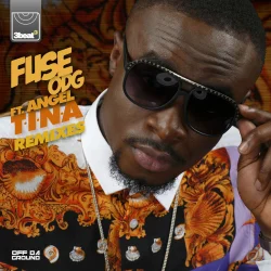Fuse ODG - T.I.N.A. (Remixes) (2014)