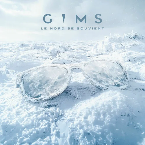 GIMS - TU ME RENDS BÊTE (feat. Damso)