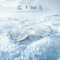 GIMS - Terminal 2F (feat. Dadju)