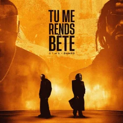 GIMS - TU ME RENDS BÊTE (feat. Damso)