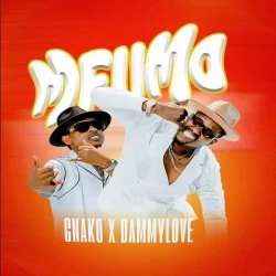 G Nako - Mfumo (feat. Dammy Love)