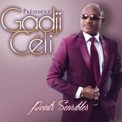 Gadji Celi - Points Sensibles (2016)