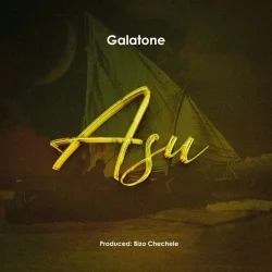 Galatone - Asu