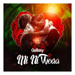 Gallaxy - Mi Ni Woaa