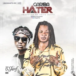 Gariba - Hater (Feat, D Sherif)