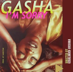 Gasha - I'm Sorry_
