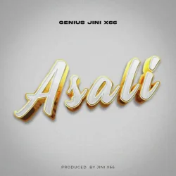 GeniusJini X66 - Asali