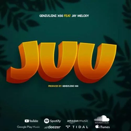 GeniusJini X66 - JUU