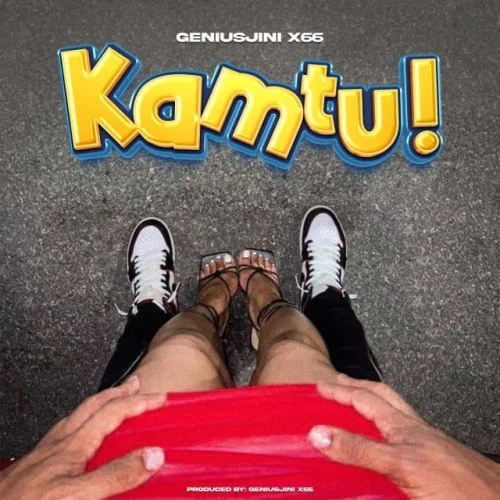 GeniusJini X66 - Kamtu