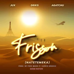 Good Nation - Frisson (Natetemeka) (feat. Jux & Driks & Agatchu)