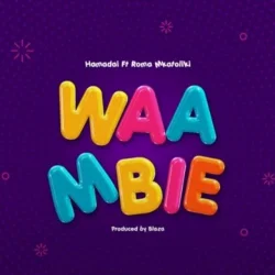 Hamadai - Waambie (feat. Roma Mkatoliki)