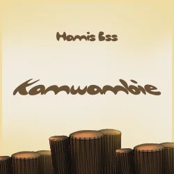 Hamis Bss - Kamwambie