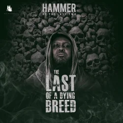 Hammer Of The Last Two - Sarkastic (feat. Sarkodie & Worlasi)