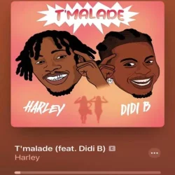 Harley - Tmalade