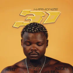 Harmonize - Bumpy Ride (feat. Mayorkun)